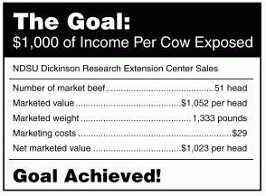 The Goal Is $1,000 Per Cow Exposed, Including Market Beef